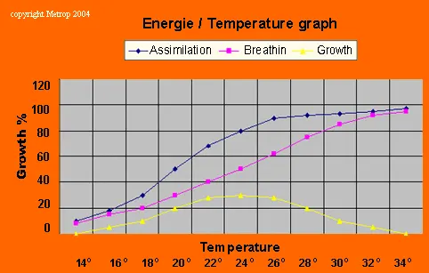 Växande temperatur/energi